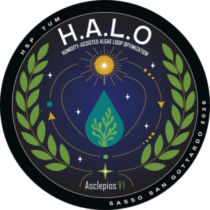 H.A.L.O. patch